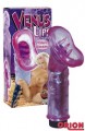 ������������ ����������  Venus Lips