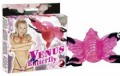 ���������� ������� Venus Butterfly